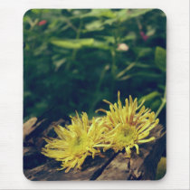 Yellow flower mouse pad