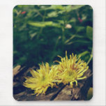 Yellow flower mouse pad