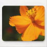 Yellow flower mouse pads
