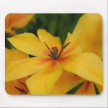 Yellow Flower Mousepad mousepads