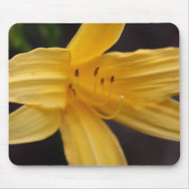 yellow flower mousepads by cardart yellow flower mousepads