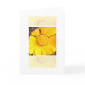 Yellow Flower - note card