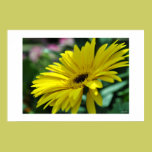 Yellow Flower on a Sunny Day posters
