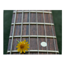 Yellow flower on receeding guitar neck postcards