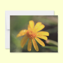 Yellow Flower Personalized Announcement invitations