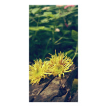 Yellow flower photo greeting card