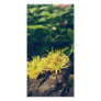 Yellow flower photo greeting card