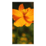 Yellow flower picture card