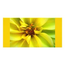 Yellow Flower - Photocard Picture Card