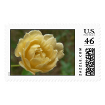 Yellow flower. stamps