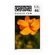 Yellow flower postage stamp
