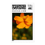 Yellow flower postage