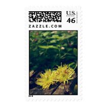 Yellow flower stamp