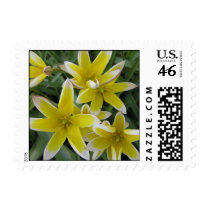 Yellow Flower postage