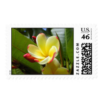 Yellow flower stamp