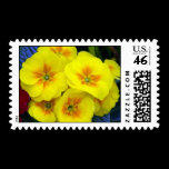 Yellow Flower Postage Stamp stamps