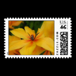 Yellow Flower Postage Stamp stamps
