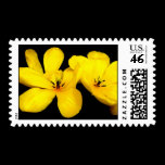 Yellow Flower Postage Stamp stamps