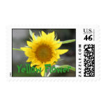 Yellow Flower Postage Stamps