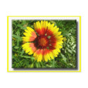 Yellow flower postcard by laly_sb Yellow flower postcard