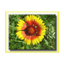 Yellow flower postcard by laly_sb Yellow flower postcard