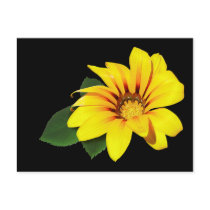 Yellow Flower postcards