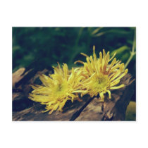 Yellow flower postcard