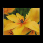 Yellow Flower Postcard postcards
