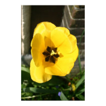 Yellow Flower posters by robbekker Yellow Flower posters