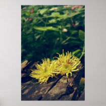 Yellow flower print