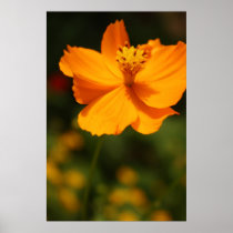 Yellow flower print