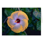 Yellow Flower Puff Card