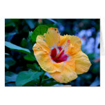 Yellow Flower Red Center Card