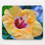 Yellow Flower Red Center Mousepad