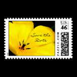 Yellow Flower Save the Date Postage Stamp stamps