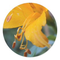 Yellow Flower Seed Stickers by emele1 Yellow Flower Seed Stickers