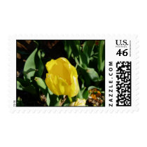 yellow flower stamp stamps