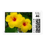 Yellow flower Stamp