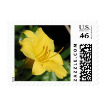 Yellow Flower Stamps