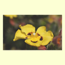 Yellow Flower stickers