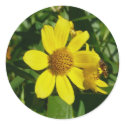 Yellow flower sticker by bkang22 Yellow flower sticker