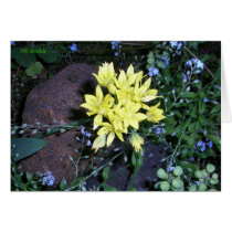 yellow flower surrounded by others cards