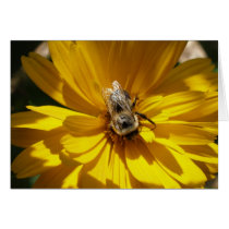 Yellow Flower with Bee cards by dannamarie72 Yellow Flower with Bee cards