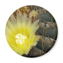 Yellow Flowering Cactus magnets by Gilliand_Photo Yellow Flowering Cactus magnets