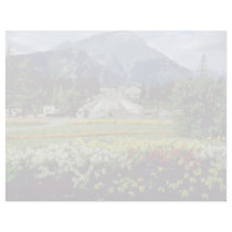 Yellow Flowers, Banff Avenue, Banff, Alberta flowe Letterhead