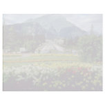 Yellow Flowers, Banff Avenue, Banff, Alberta flowe Letterhead