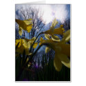 Yellow Flowers cards