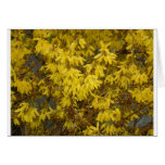 Yellow Flowers