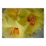 yellow flowers cards