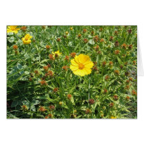 Yellow Flowers cards by Denisonstudio Yellow Flowers cards